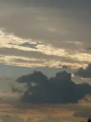 ネネ