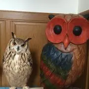 mii