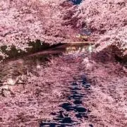 hime★の画像
