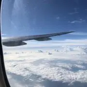 sayakaの画像