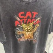 ドンパッチの画像