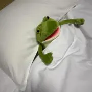 ぬの画像