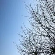 C ※プロフィール確認してくださいの画像