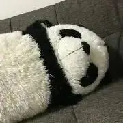 だんご３姉妹の画像