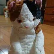 Miyu
