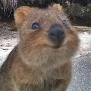 たままま♪の画像