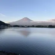 YASの画像