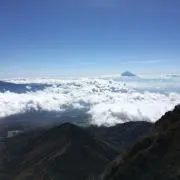 Fujiの画像