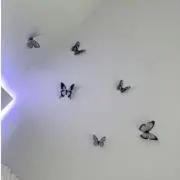 ゆの画像