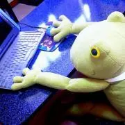 ふぇれぼん