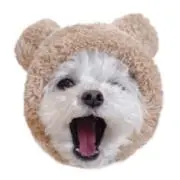 にとち