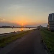 ぐなの画像