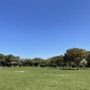 せごどんの画像