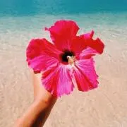 ななの画像