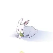 タミの画像