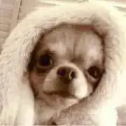 つななの画像