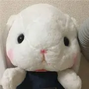 みるきー