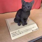 melemeleプロフ確認お願い致しますの画像