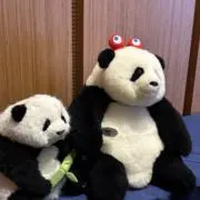 のんちゃ