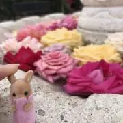 ちまきちゃんの画像