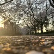 k iの画像