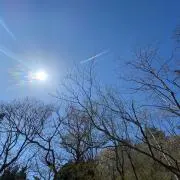 Shocoraの画像
