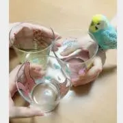 クッキーくりーむ  (断捨離中)