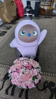 ちゃま太郎☆彡の画像