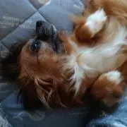 おば