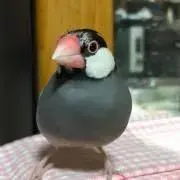 みきお※プロフ読んでくださいね※の画像