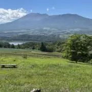 ヨウの画像