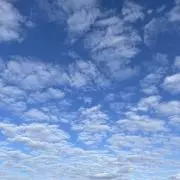 riの画像