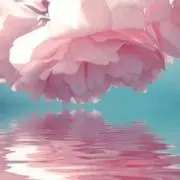 ♡クレア♡フォロー割ありの画像