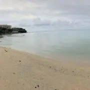 ニクラウスの画像