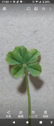 やまとひめ