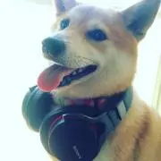 まろちの画像