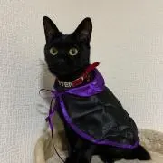Ren