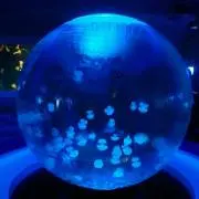 かなざとの画像