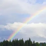 ひょんの画像