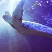 うの字の画像
