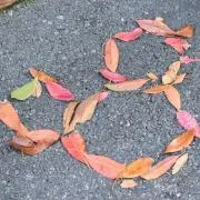 枝豆の画像