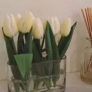 KIHOの画像