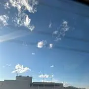 ぼーづの画像
