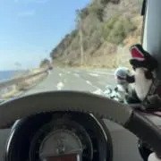 みちゃの画像