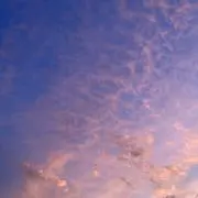 haruの画像