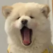 YYuanの画像