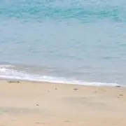 Nの画像