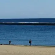 えびの画像