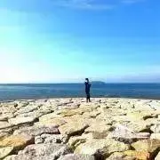 もんの画像