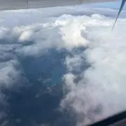 りとんとんの画像